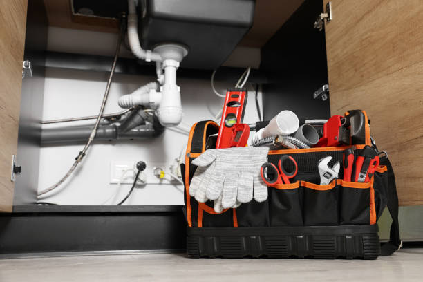 Best Clogged Drain Plumber  in Whitewater, CA